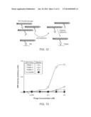 ELECTRICALLY CONDUCTIVE POLYMER ELECTRODES WITH INCORPORATED VIRUSES diagram and image