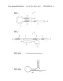 SMALL RNA-DEPENDENT TRANSLATIONAL REGULATORY SYSTEM IN CELL OR ARTIFICIAL     CELL MODEL diagram and image