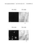 SMALL RNA-DEPENDENT TRANSLATIONAL REGULATORY SYSTEM IN CELL OR ARTIFICIAL     CELL MODEL diagram and image