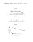 SMALL RNA-DEPENDENT TRANSLATIONAL REGULATORY SYSTEM IN CELL OR ARTIFICIAL     CELL MODEL diagram and image