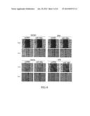 METHOD OF USING BOTH MIR-196A AND MIR-196B AS BIOMARKERS FOR DETECTING     ORAL CANCER diagram and image