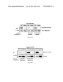 REGENTS FOR PROBING ROCKS ACTIVATION diagram and image