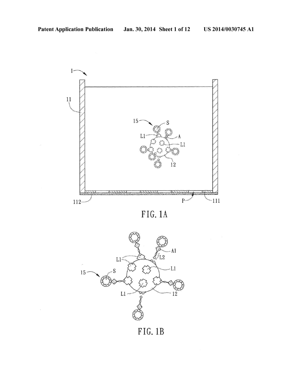 ASSAY KIT AND ANALYSIS METHOD - diagram, schematic, and image 02