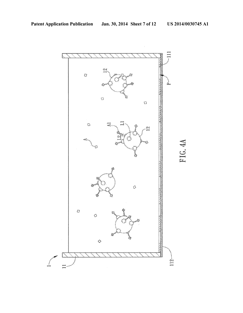 ASSAY KIT AND ANALYSIS METHOD - diagram, schematic, and image 08