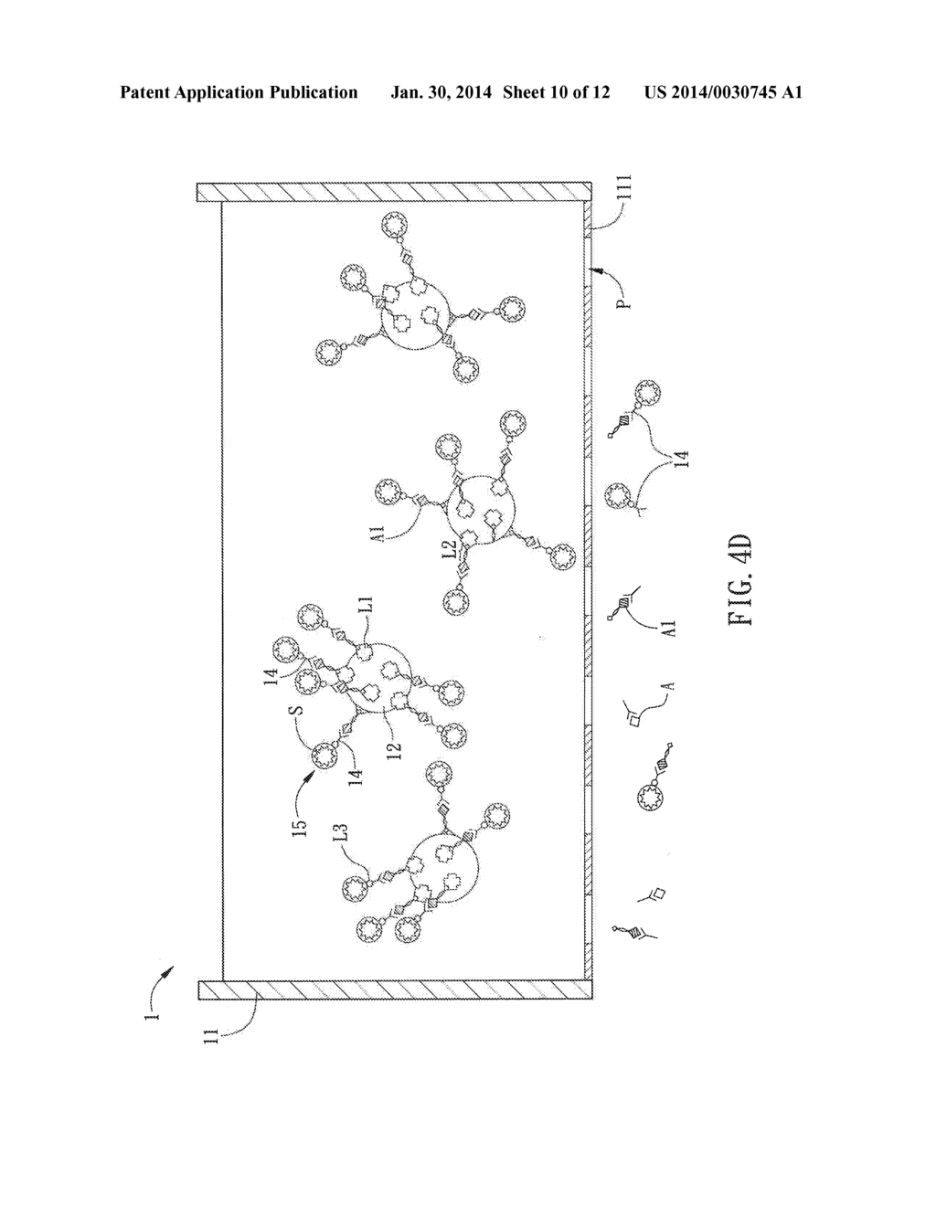 ASSAY KIT AND ANALYSIS METHOD - diagram, schematic, and image 11