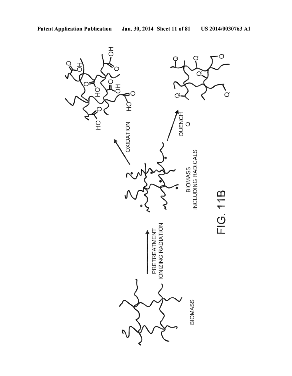 Processing Biomass Containing Materials - diagram, schematic, and image 12