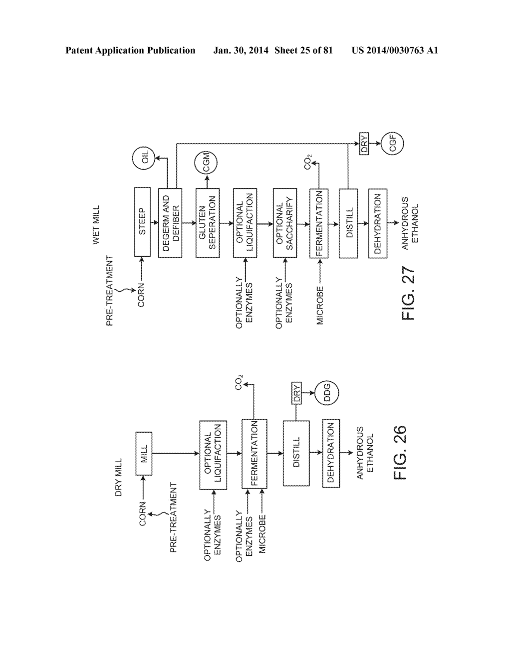 Processing Biomass Containing Materials - diagram, schematic, and image 26