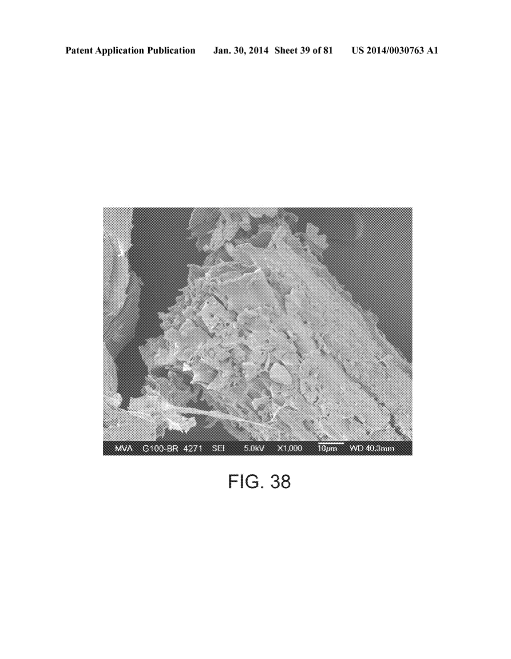 Processing Biomass Containing Materials - diagram, schematic, and image 40