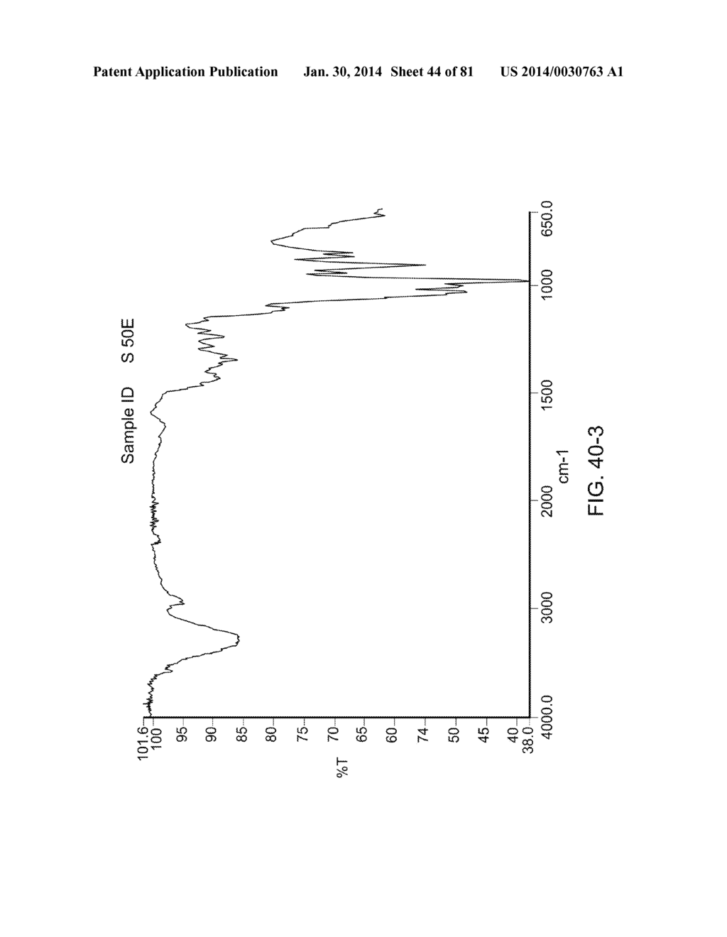 Processing Biomass Containing Materials - diagram, schematic, and image 45