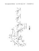 MICROORGANISMS AND METHODS FOR PRODUCTION OF 4-HYDROXYBUTYRATE,     1,4-BUTANEDIOL AND RELATED COMPOUNDS diagram and image