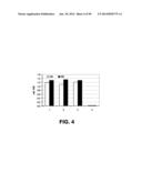 MICROORGANISMS AND METHODS FOR PRODUCTION OF 4-HYDROXYBUTYRATE,     1,4-BUTANEDIOL AND RELATED COMPOUNDS diagram and image