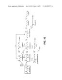 MICROORGANISMS AND METHODS FOR PRODUCTION OF 4-HYDROXYBUTYRATE,     1,4-BUTANEDIOL AND RELATED COMPOUNDS diagram and image