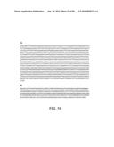 MICROORGANISMS AND METHODS FOR PRODUCTION OF 4-HYDROXYBUTYRATE,     1,4-BUTANEDIOL AND RELATED COMPOUNDS diagram and image