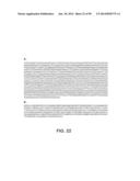 MICROORGANISMS AND METHODS FOR PRODUCTION OF 4-HYDROXYBUTYRATE,     1,4-BUTANEDIOL AND RELATED COMPOUNDS diagram and image