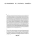 MICROORGANISMS AND METHODS FOR PRODUCTION OF 4-HYDROXYBUTYRATE,     1,4-BUTANEDIOL AND RELATED COMPOUNDS diagram and image