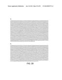 MICROORGANISMS AND METHODS FOR PRODUCTION OF 4-HYDROXYBUTYRATE,     1,4-BUTANEDIOL AND RELATED COMPOUNDS diagram and image