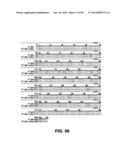 MICROORGANISMS AND METHODS FOR PRODUCTION OF 4-HYDROXYBUTYRATE,     1,4-BUTANEDIOL AND RELATED COMPOUNDS diagram and image