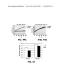 MICROORGANISMS AND METHODS FOR PRODUCTION OF 4-HYDROXYBUTYRATE,     1,4-BUTANEDIOL AND RELATED COMPOUNDS diagram and image