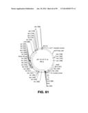 MICROORGANISMS AND METHODS FOR PRODUCTION OF 4-HYDROXYBUTYRATE,     1,4-BUTANEDIOL AND RELATED COMPOUNDS diagram and image