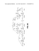 MICROORGANISMS AND METHODS FOR PRODUCTION OF 4-HYDROXYBUTYRATE,     1,4-BUTANEDIOL AND RELATED COMPOUNDS diagram and image