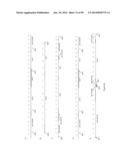 MICROORGANISMS AND METHODS FOR PRODUCTION OF 4-HYDROXYBUTYRATE,     1,4-BUTANEDIOL AND RELATED COMPOUNDS diagram and image