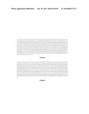 MICROORGANISMS AND METHODS FOR PRODUCTION OF 4-HYDROXYBUTYRATE,     1,4-BUTANEDIOL AND RELATED COMPOUNDS diagram and image