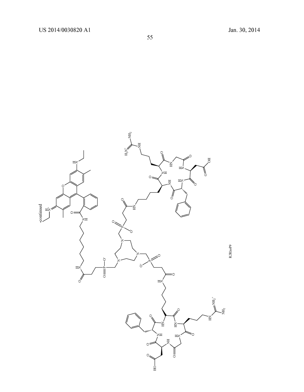 TRIAZACYCLONONANE-BASED PHOSPHINATE LIGAND AND ITS USE FOR MOLECULAR     IMAGING - diagram, schematic, and image 64