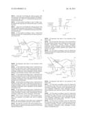 METHOD FOR IMMOBILIZING AN ANTIBODY ON A SELF-ASSEMBLED MONOLAYER diagram and image