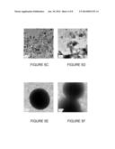 PHOTOCATALYTIC METHODS FOR PREPARATION OF ELECTROCATALYST MATERIALS diagram and image
