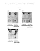 FENTON REACTION CATALYST PRODUCED USING REDUCING ORGANIC SUBSTANCE AS RAW     MATERIAL diagram and image