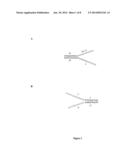 PAIRED END BEAD AMPLIFICATION AND HIGH THROUGHPUT SEQUENCING diagram and image
