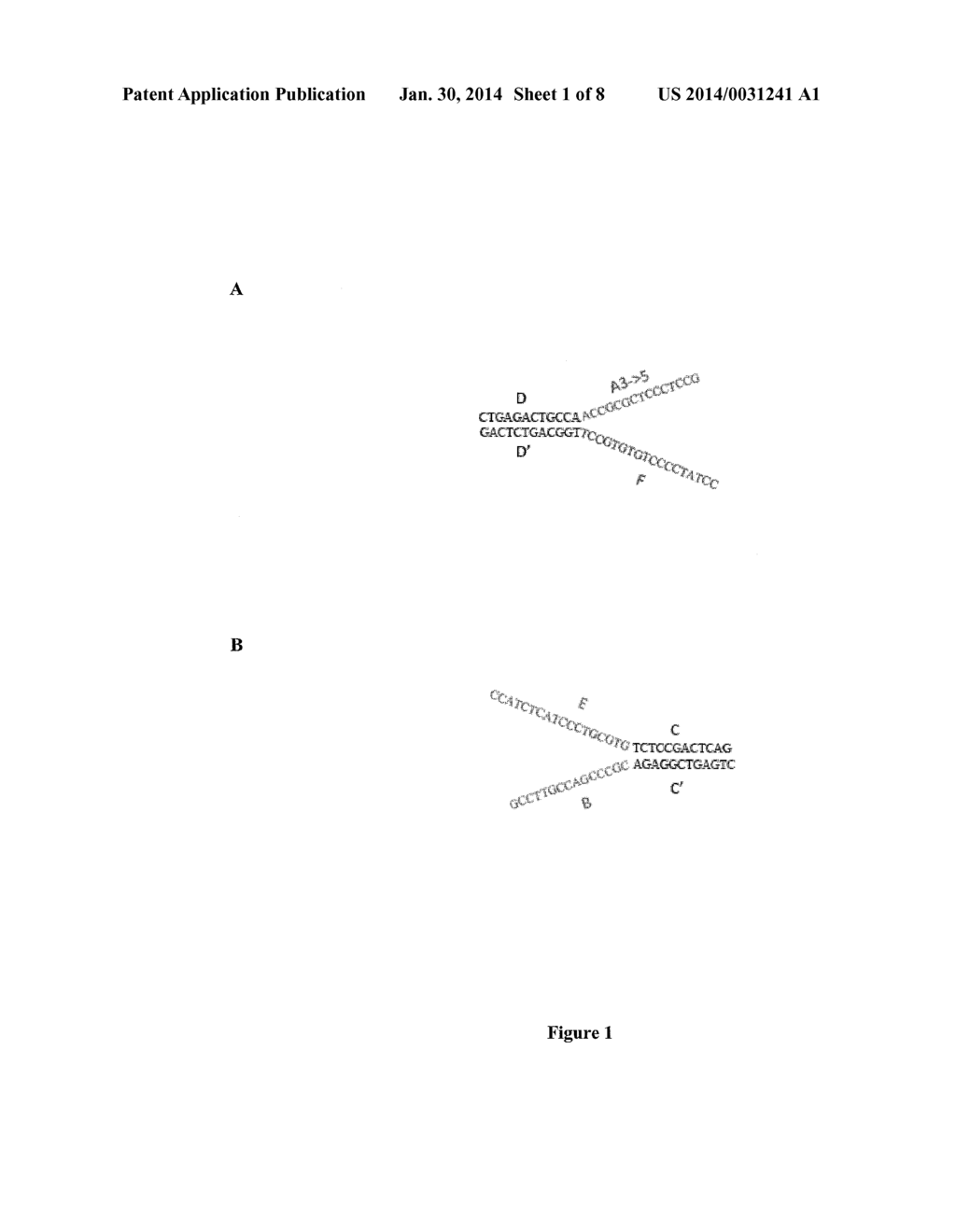 PAIRED END BEAD AMPLIFICATION AND HIGH THROUGHPUT SEQUENCING - diagram, schematic, and image 02