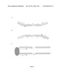 PAIRED END BEAD AMPLIFICATION AND HIGH THROUGHPUT SEQUENCING diagram and image