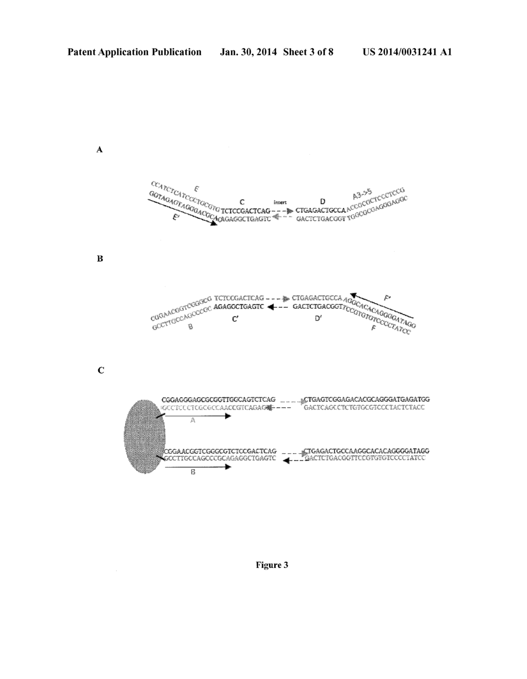 PAIRED END BEAD AMPLIFICATION AND HIGH THROUGHPUT SEQUENCING - diagram, schematic, and image 04