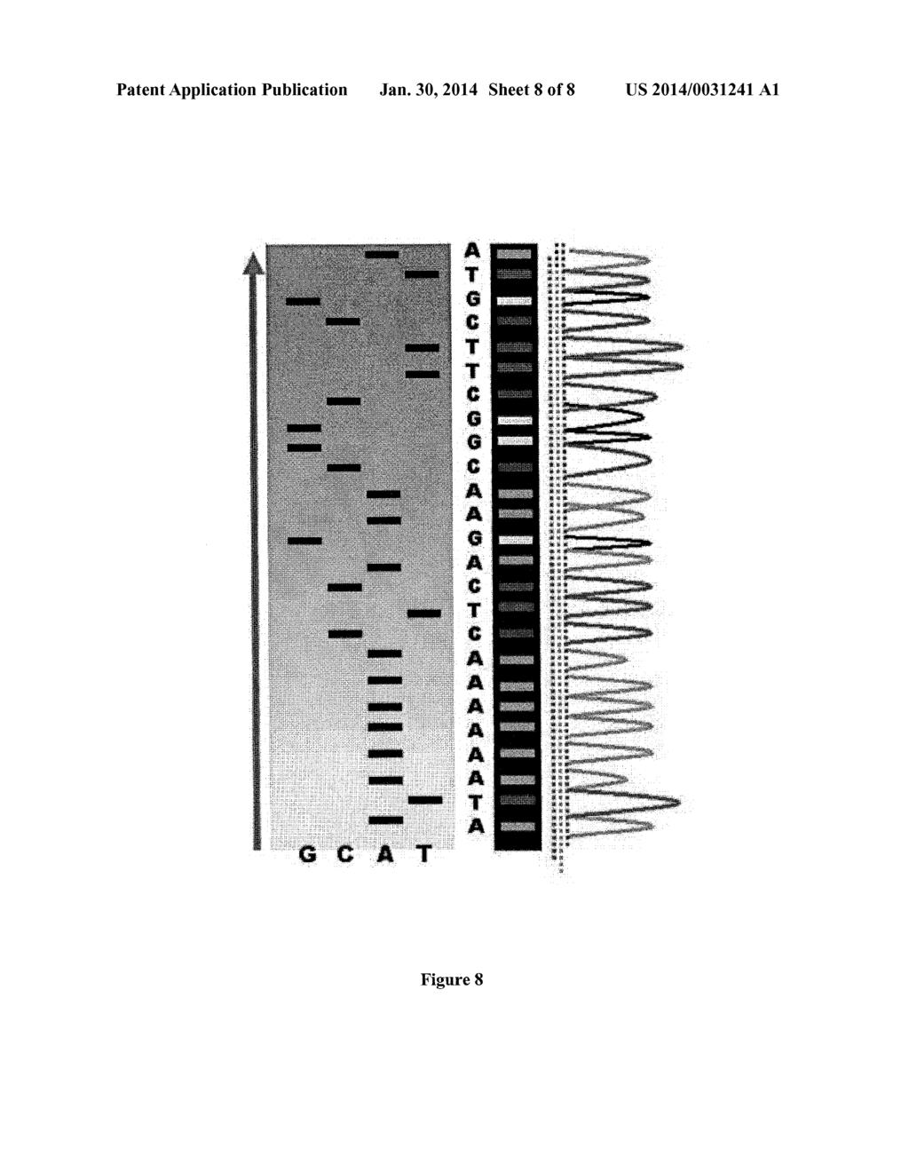 PAIRED END BEAD AMPLIFICATION AND HIGH THROUGHPUT SEQUENCING - diagram, schematic, and image 09