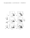 MULTIPLEX DETECTION OF MOLECULAR SPECIES IN CELLS BY SUPER-RESOLUTION     IMAGING AND COMBINATORIAL LABELING diagram and image