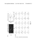 MULTIPLEX DETECTION OF MOLECULAR SPECIES IN CELLS BY SUPER-RESOLUTION     IMAGING AND COMBINATORIAL LABELING diagram and image