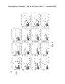 MULTIPLEX DETECTION OF MOLECULAR SPECIES IN CELLS BY SUPER-RESOLUTION     IMAGING AND COMBINATORIAL LABELING diagram and image