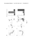 MULTIPLEX DETECTION OF MOLECULAR SPECIES IN CELLS BY SUPER-RESOLUTION     IMAGING AND COMBINATORIAL LABELING diagram and image