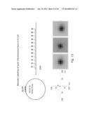 MULTIPLEX DETECTION OF MOLECULAR SPECIES IN CELLS BY SUPER-RESOLUTION     IMAGING AND COMBINATORIAL LABELING diagram and image