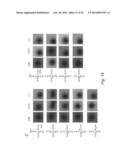 MULTIPLEX DETECTION OF MOLECULAR SPECIES IN CELLS BY SUPER-RESOLUTION     IMAGING AND COMBINATORIAL LABELING diagram and image