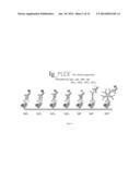 MULTIPLEX MEASURE OF ISOTYPE ANTIGEN RESPONSE diagram and image