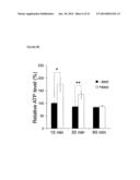 METHODS OF DETECTING THERAPEUTIC EXOSOMES diagram and image