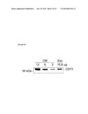 METHODS OF DETECTING THERAPEUTIC EXOSOMES diagram and image