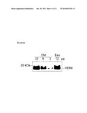 METHODS OF DETECTING THERAPEUTIC EXOSOMES diagram and image