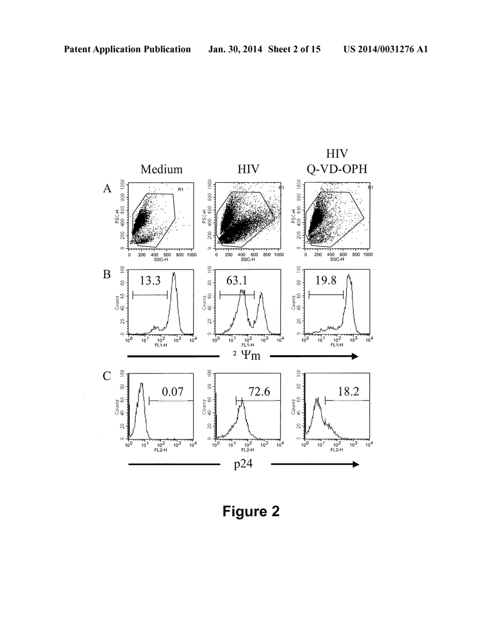 COMPOUNDS AND METHODS FOR PREVENTING OR TREATING A VIRAL INFECTION - diagram, schematic, and image 03