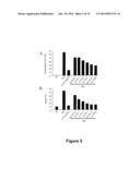 COMPOUNDS AND METHODS FOR PREVENTING OR TREATING A VIRAL INFECTION diagram and image