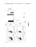 COMPOUNDS AND METHODS FOR PREVENTING OR TREATING A VIRAL INFECTION diagram and image