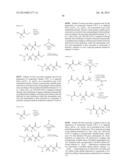 INHIBITORS OF SERINE PROTEASES, PARTICULARLY HCV NS3-NS4A PROTEASE diagram and image