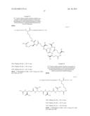 Novel Glucagon Analogues diagram and image